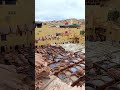 دار الدباغة فاس Fes Morocco Travel Morocco المغرب فاس 