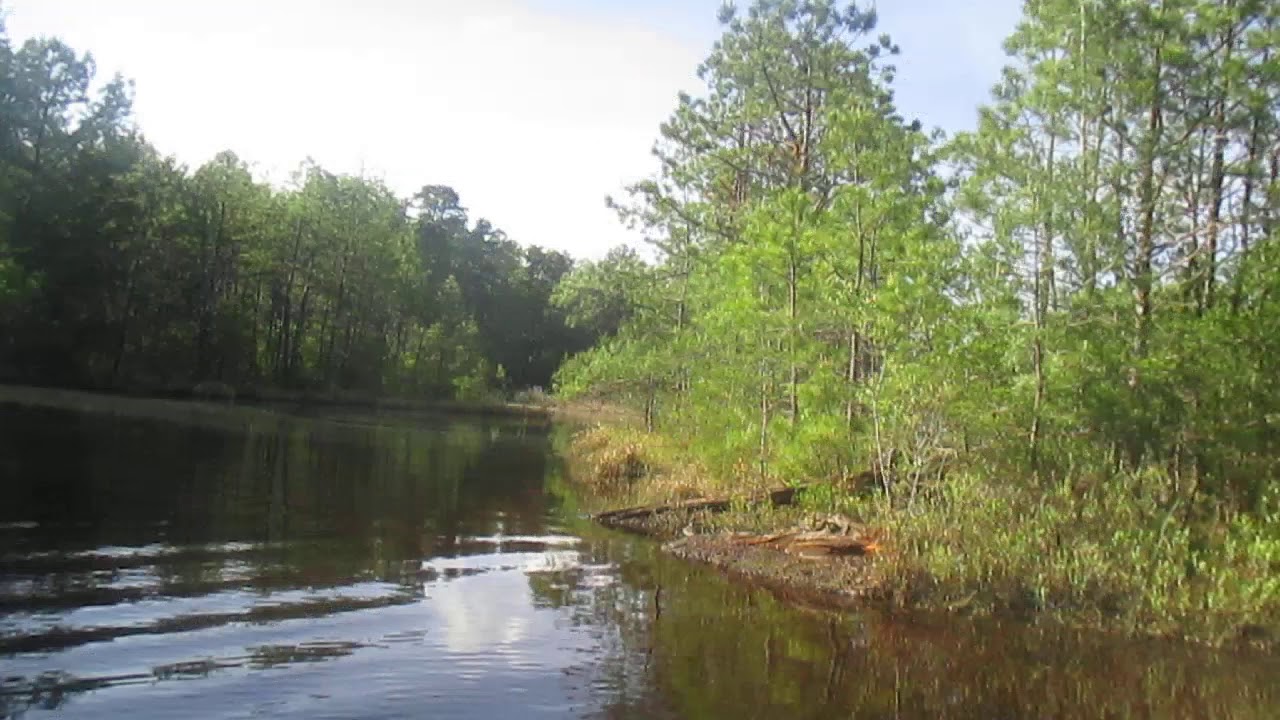 Kayaking in lake and bit of backwaters!Jersey Pine Barrens!! YouTube