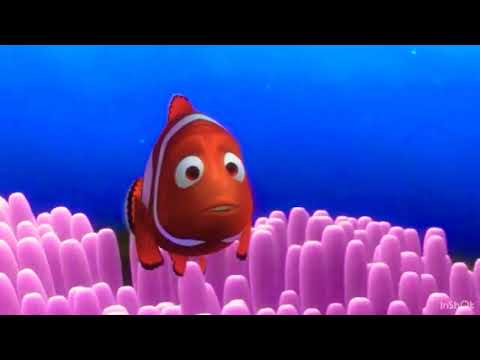 Finding Nemo - Barracuda attack scene 