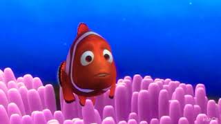 Finding Nemo - Barracuda Attack Scene
