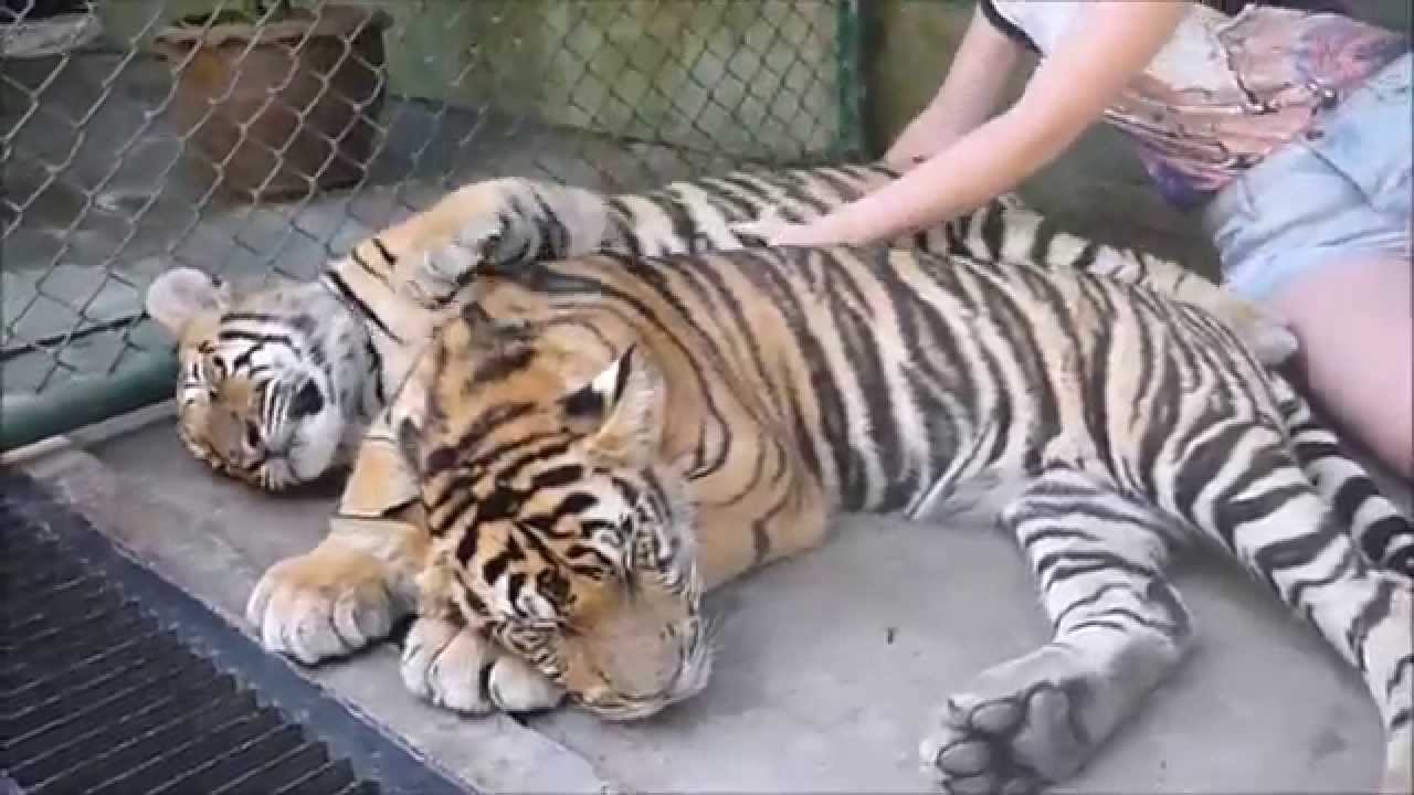 Phuket Thailand & Kuala Lumpur Malaysia Trip 2015 - YouTube