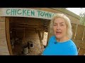 Do you need a chicken coop air conditioner? Do you need a chicken coop air conditioner?