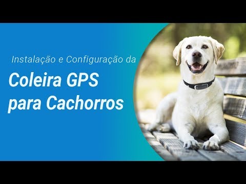 Vídeo: Como Usar Coleiras De Rastreamento GPS Para Cães Para Ajudar Seu Filhote A Perder Peso