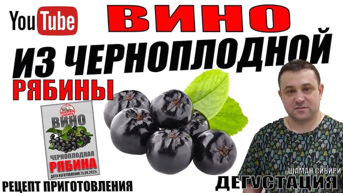 Рябиновое вино с дрожжами