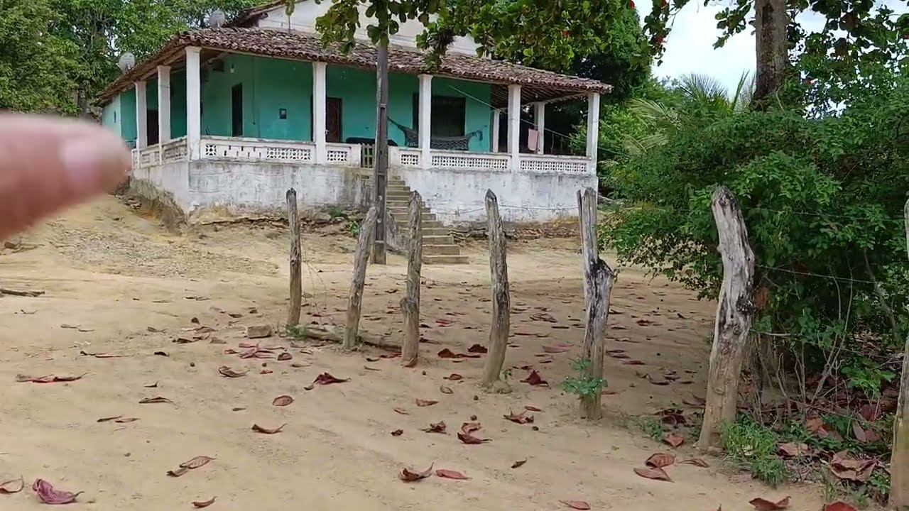 FAZENDA SANTO ANTÔNIO DOS PALMARES CASSIANO OFICIAL 8141
