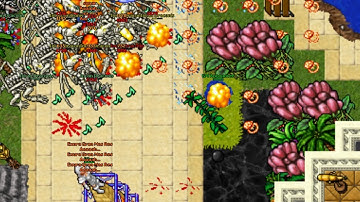SUPER TIBIA EXP GRAVE QUEST, WOW -  Outcastserver.com Open-Tibia 7.6