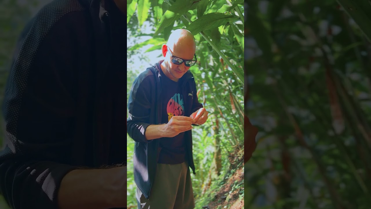 Spice Forest Plantation Stay | Bicycle Ride