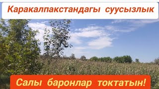 Каракалпакстан Шымбай суу маселеси/Шымбай 2023/ Агробизнес /Шымбай малбазар /