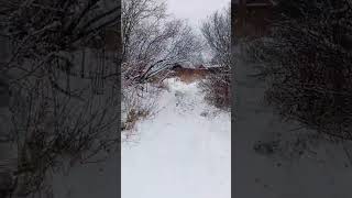 Не торопитесь жить#мудрость