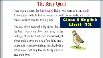 Class 6 English unit 13 with all exercise/Class 6 | English Unit 13//The Baby Quail