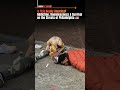 🇺🇸Is This Really America?#USA #Philadelphia #HomelessReality #StreetLife #Addiction #viral