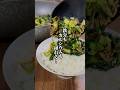 【鉄分・カルシウムが豊富！】小松菜じゃこ炒め！ご飯にかけても絶品！