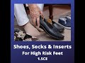 [PREVIEW] Shoes, Socks &amp; Inserts for High Risk Feet - Continuing Education Course