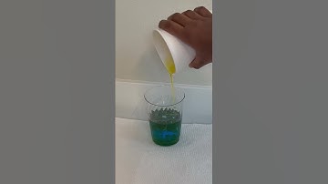 Simple Density Science Experiment