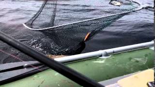 На рыбалку в Карелию. Июнь 2014 года.(, 2014-07-28T14:10:13.000Z)