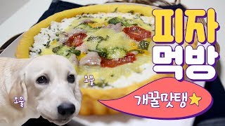 Dog Pizza !! DOG TREATS XD Homemade Is it ASMR Video ?! Cute Adorable Labrador Retriever