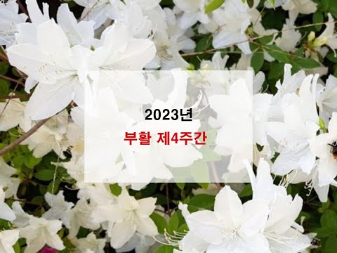 영상썸네일