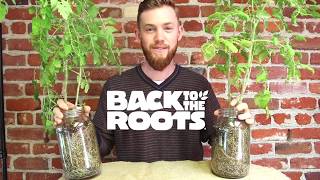 Self-Watering Planter Set-Up How-To Video