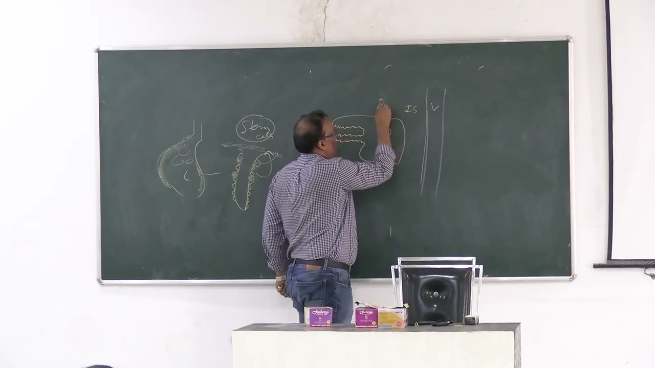 Lecture On HCL Secretion, Parietal Cell: Control & Clinical Dangers of Long-Term PPIs | MBBS