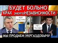 ТОПОВЫЙ АКТИВ НА ПРОДАЖУ! Витренко с Зеленским хотят нас отIPOшить