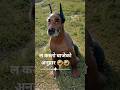 Whatbis this🤣