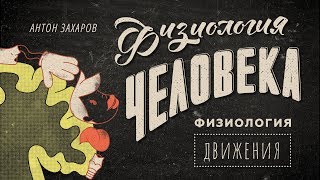 6. Физиология движения. Физиология человека - 8 класс