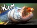 Feed and Grow Fish Gameplay German - Urzeit Fisch Xiphactinus