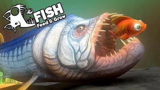 Feed and Grow Fish Gameplay German - Urzeit Fisch Xiphactinus