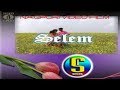 Selem | सलेम | Amrit Raj And Varsha | Nagpuri Full Movie With Songs | Superhit Old Film