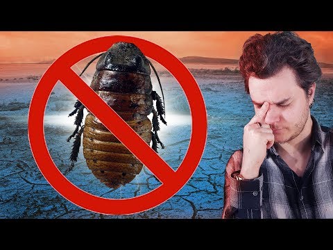 Vidéo: La Terre Pourrait être Complètement Dépourvue D’insectes Au Cours Des Cent Prochaines Années - Vue Alternative