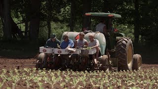 Burley Tobacco Season with Webb Family and Crew