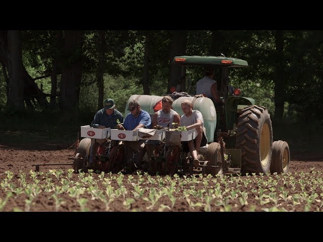 burley tobacco growers cooperative association Md. rush to find new contracts voting for the Burley Growers