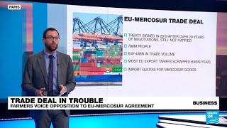 EU-Mercosur trade deal draws ire of European farmers • FRANCE 24 English