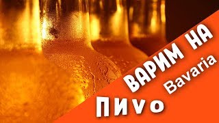 ВАРИМ ПИВО в пивоварне БАВАРИя. ОБЗОР ПИВОВАРНИ Bavaria.