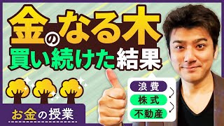 第10回 お金のなる木を買い続けたらどうなったか？富裕層になる鉄則！【お金の勉強】