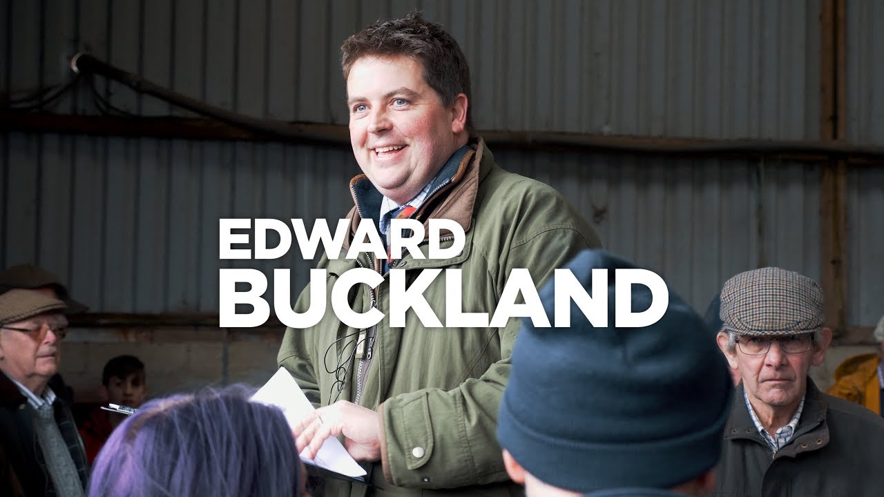 Edward Buckland Ltd Prideaux Farm Auction YouTube