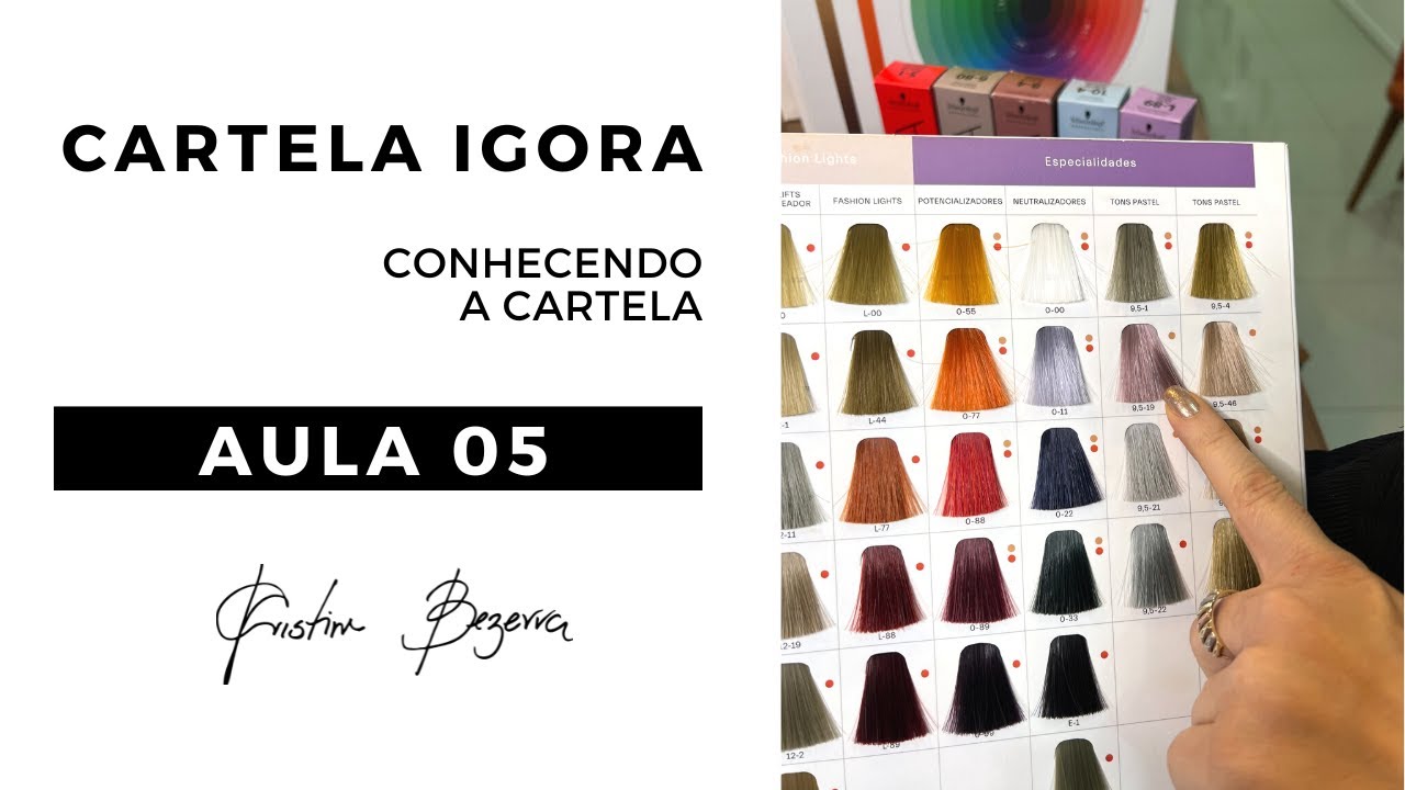 Conhecendo a cartela de Igora - Aula 5 | MIXTONS e TONS PASTÉIS