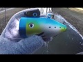UnderWater Fish Camera : Fish Viewer