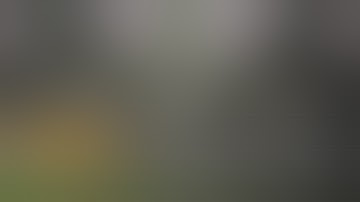 Osage Creek Cultivation | From HPS to LEDs: Game-Changing Results | Client Testimonial