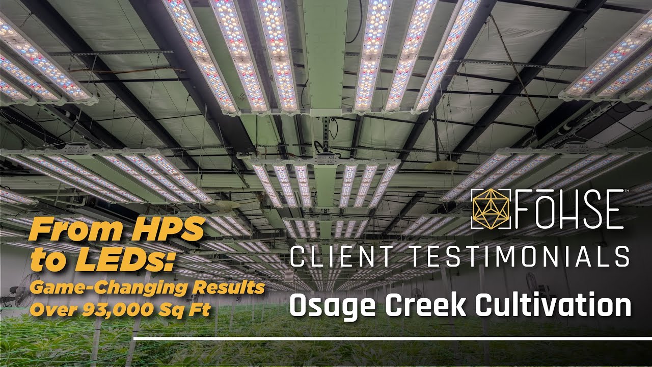 Osage Creek Cultivation | From HPS to LEDs: Game-Changing Results | Client Testimonial