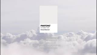 Pantone 2026 Cloud Dancer: come cambia il bianco nei serramenti in legno | AnGer Infissi