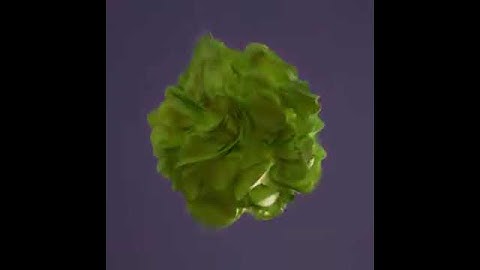 Markus–Lyapunov fractals in Blender