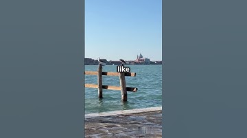 🔧🏗️ The Engineering Science Behind Venice City 🌊🏛️ | Science Unboxed