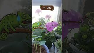 Douyin Play Partner Program: Master the Art of Gameplay with DOU Assist