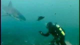 Discovery Channel Promo (2007)