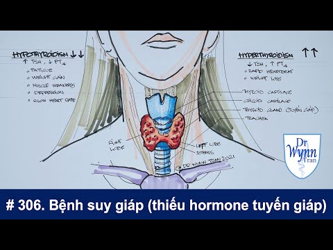 Video: Làm thế nào để sử dụng Synthroid: 13 bước (có hình ảnh)