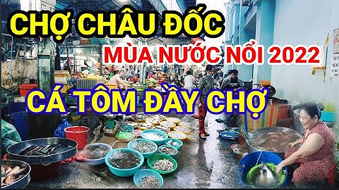 VỀ CHỢ CHÂU ĐỐC MÙA NƯỚC NỔI 2022 CÁ TÔM HẢI SẢN ĐẦY CHỢ BÀ CON VUI VẺ | MINH BỤI CHANNEL