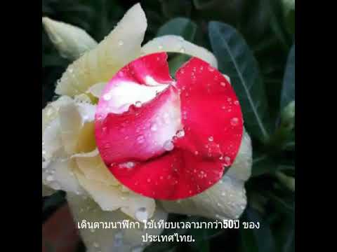 เพลงเทียบเวลา มีเสียงร้อง ใช้กับประเทศไทยมาเกินกว่า50ปี