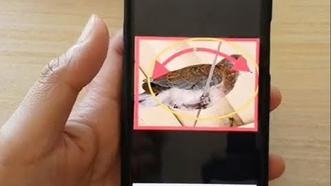 iPhone iOS 15: How to Add The Square, Circle, and Arrow to a Photo