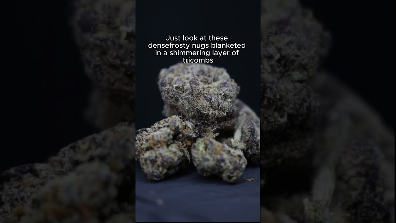 Platinum Kush : 25% THC Indica Dominant Hybrid